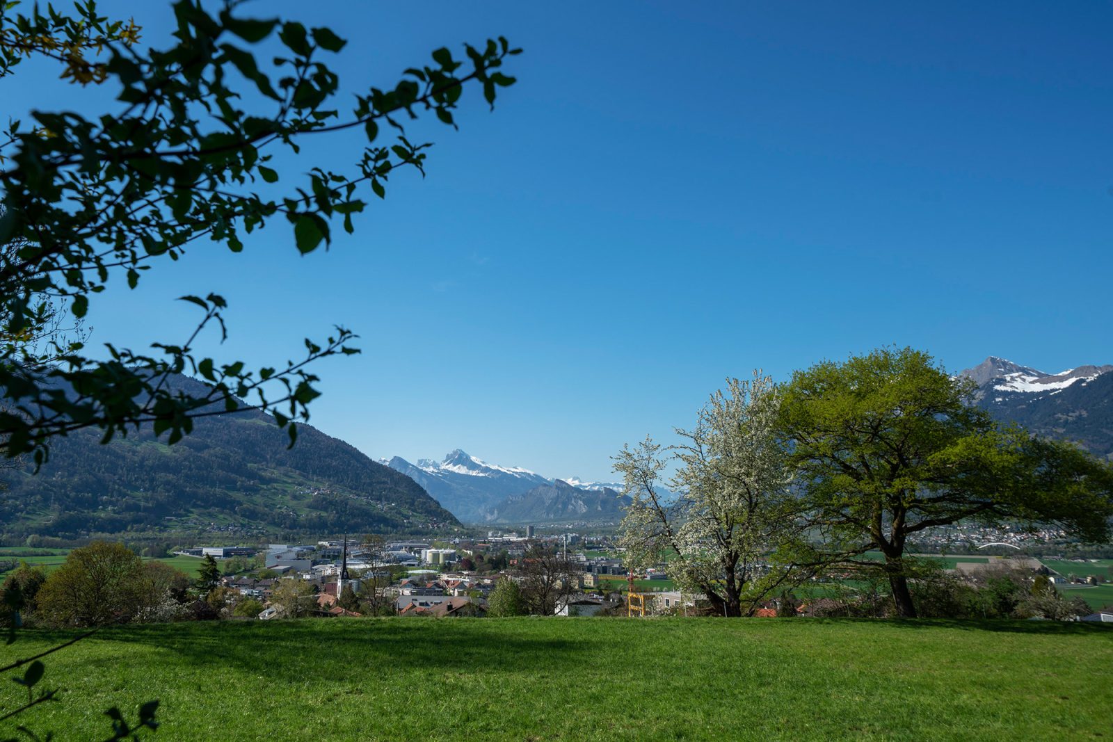 Im Park A, Landquart, GR – Bild 17 von 19